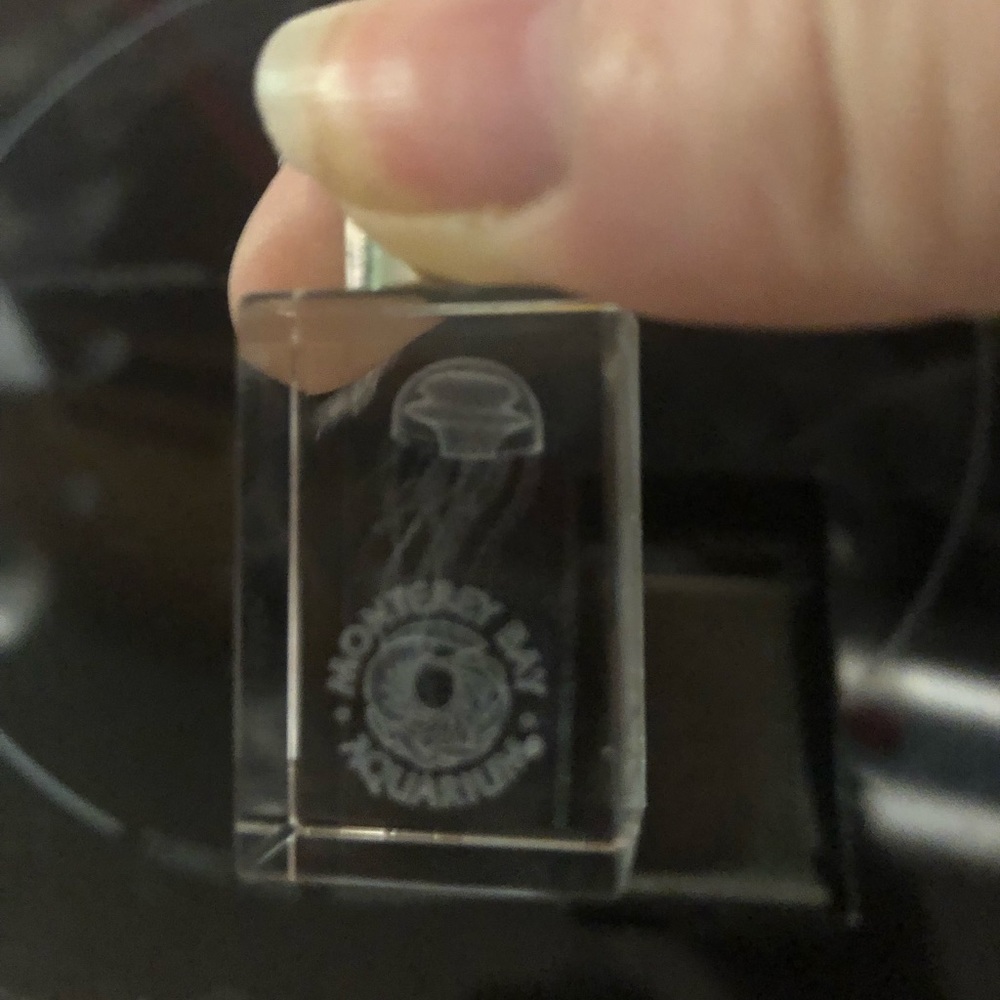 COPY Monterey Bay Aquarium (MBA) Crystal Key Fob- 507 $20 or $15 w/offer
